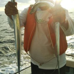 岡田釣船 八英丸 釣果