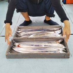 岡田釣船 八英丸 釣果