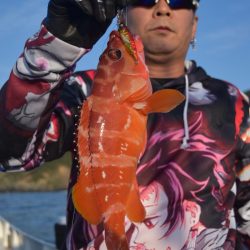 渡船屋たにぐち 釣果