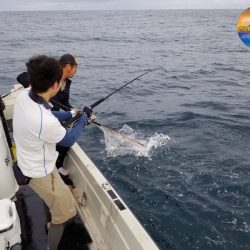 幕島丸 釣果