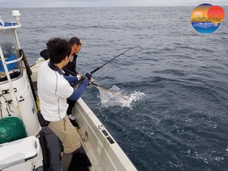 幕島丸 釣果