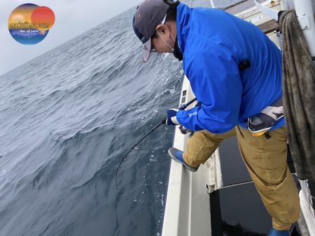 幕島丸 釣果