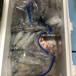 第二八坂丸 釣果