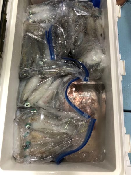 第二八坂丸 釣果