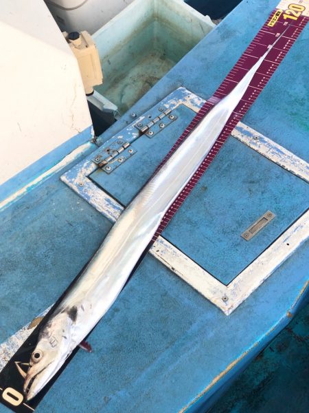 ヤザワ渡船 釣果