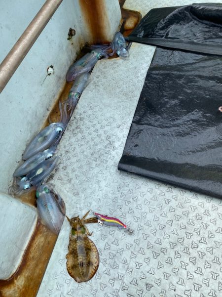 あみや渡船 JIGBOY 釣果