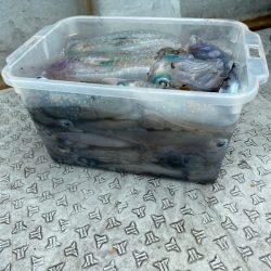 あみや渡船 JIGBOY 釣果