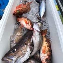 第二八坂丸 釣果