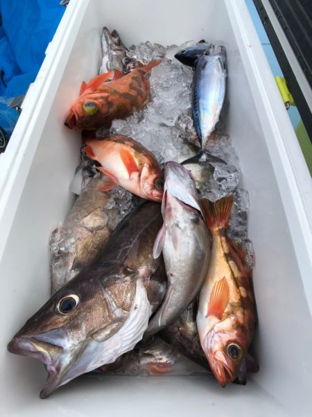 第二八坂丸 釣果