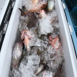 第二八坂丸 釣果