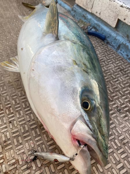 龍神丸(鹿児島) 釣果