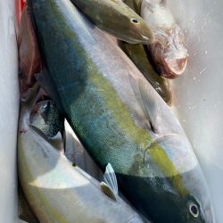 龍神丸(鹿児島) 釣果