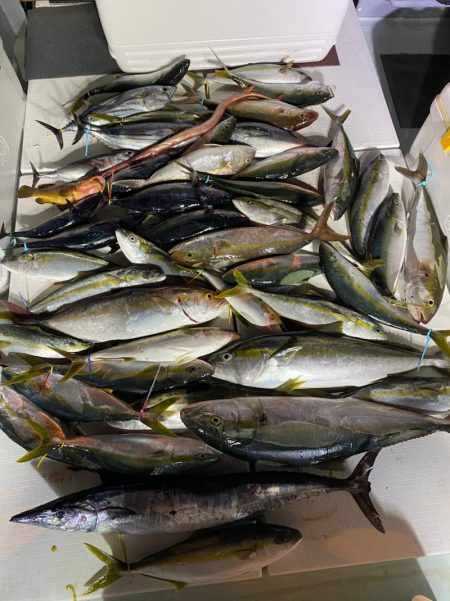 海楽隊 華栞丸 釣果