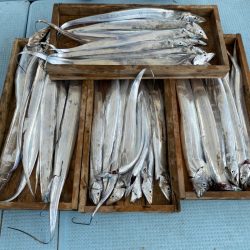 岡田釣船 八英丸 釣果