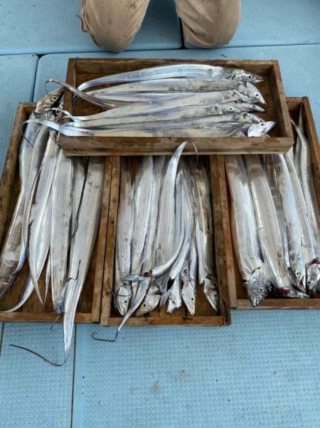 岡田釣船 八英丸 釣果