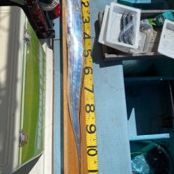 岡田釣船 八英丸 釣果