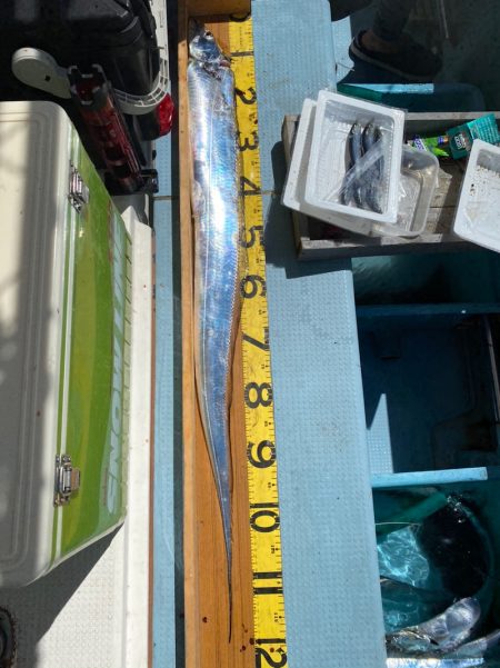 岡田釣船 八英丸 釣果