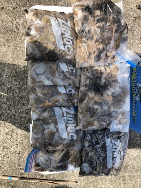 遊漁船高橋 釣果