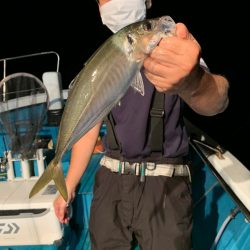 愛海丸 釣果
