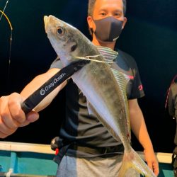愛海丸 釣果