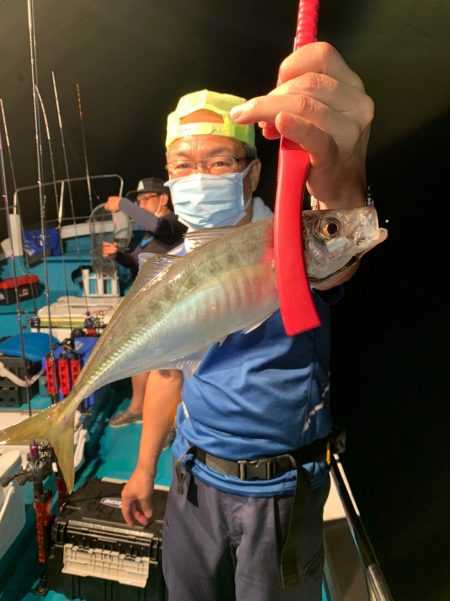 愛海丸 釣果