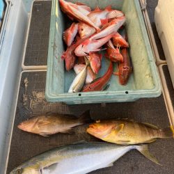 Monster Rush! 釣果