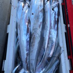 フィッシング　キッタカ 釣果