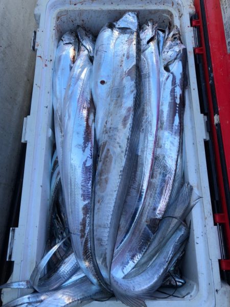 フィッシング　キッタカ 釣果