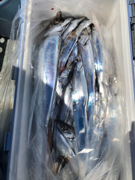 フィッシング　キッタカ 釣果