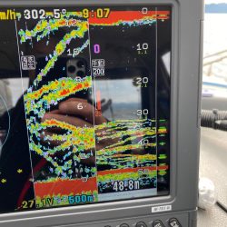 遊漁船ブルーウッズ 釣果