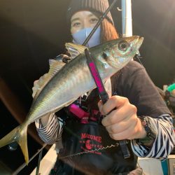 愛海丸 釣果