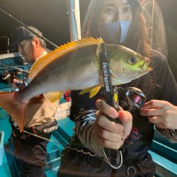 愛海丸 釣果
