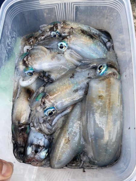 あみや渡船 釣果