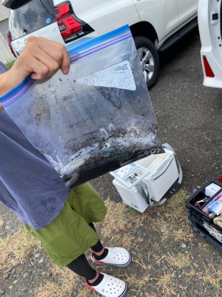 あみや渡船 釣果