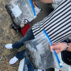 あみや渡船 釣果