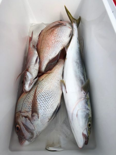 第二八坂丸 釣果