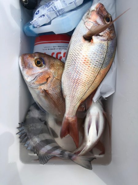 第二八坂丸 釣果