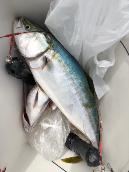 第二八坂丸 釣果