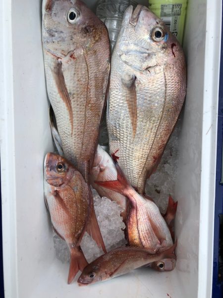 フィッシング　キッタカ 釣果