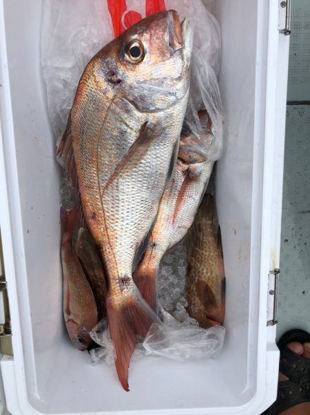 フィッシング　キッタカ 釣果