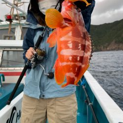 愛海丸 釣果