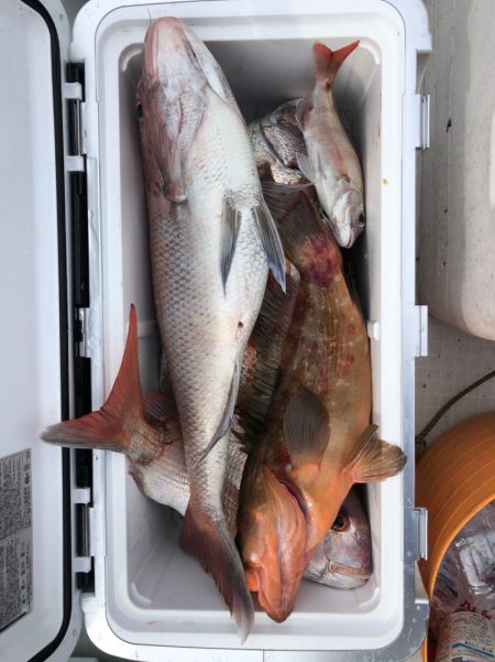 フィッシング　キッタカ 釣果