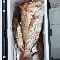 フィッシング　キッタカ 釣果