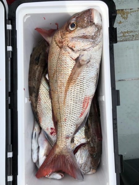 フィッシング　キッタカ 釣果