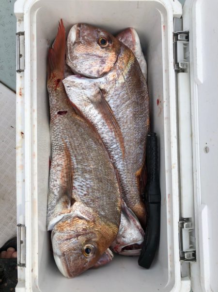 フィッシング　キッタカ 釣果