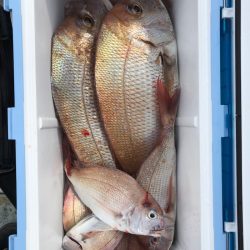 フィッシング　キッタカ 釣果