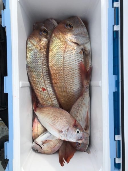 フィッシング　キッタカ 釣果