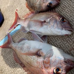 龍神丸（鹿児島） 釣果