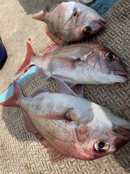 龍神丸（鹿児島） 釣果