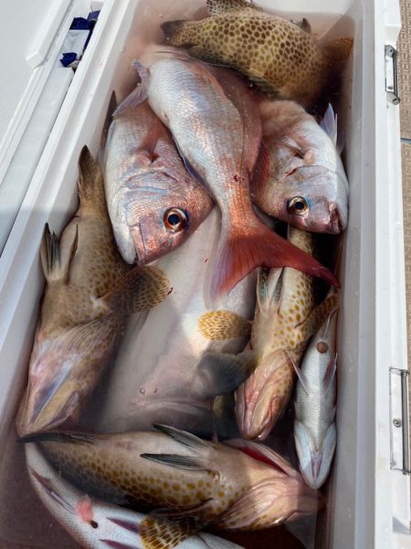 龍神丸（鹿児島） 釣果